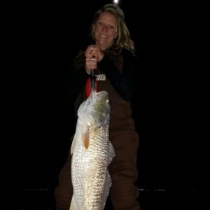 Meet your Posher, Raven